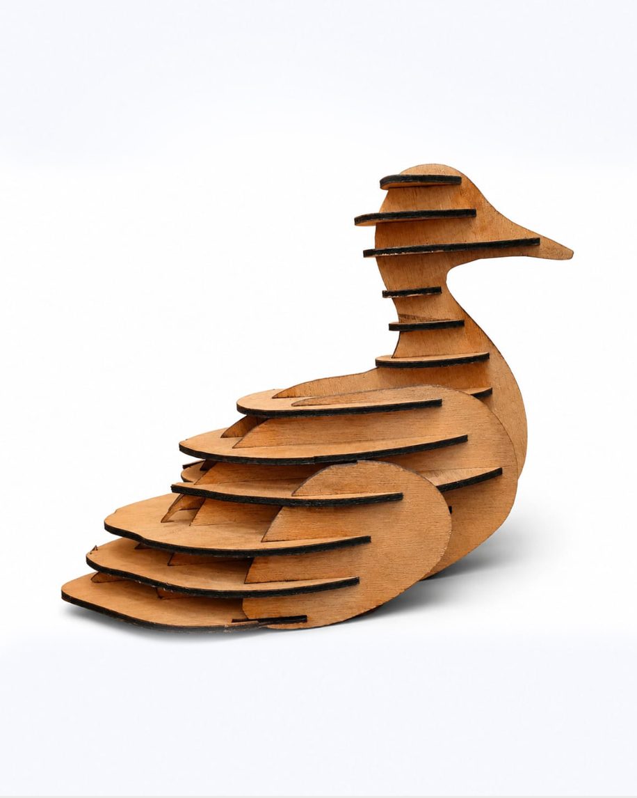 3D Duck